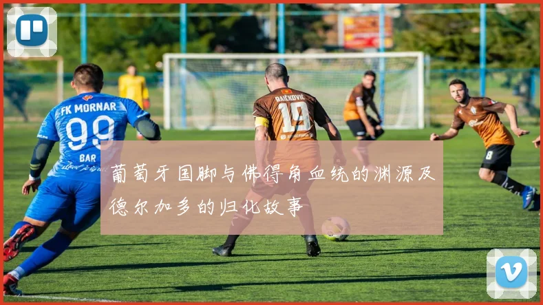 葡萄牙国脚与佛得角血统的渊源及德尔加多的归化故事